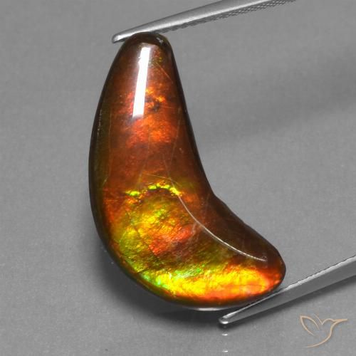 12.08ct 자연스러운 다색 암몰라이트, 팬시한, 불투명체
