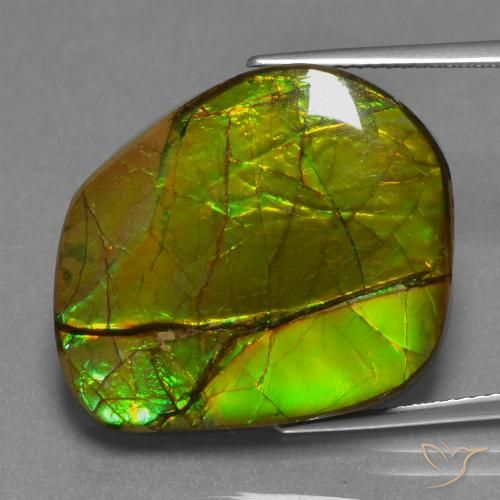 21.26ct 자연스러운 다색 암몰라이트, 팬시한, 불투명체