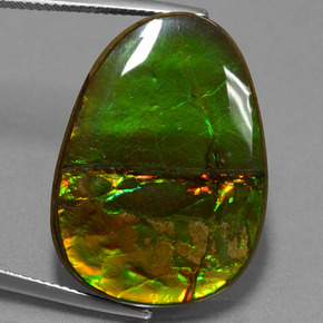 24.70캐럿 천연 멀티컬러 암몰라이트, 멋진 모양, 26.9×20 mm, 불투명체