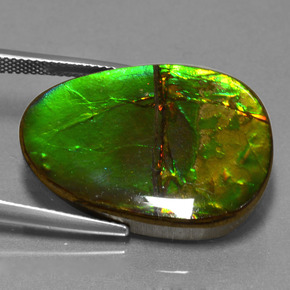 24.70캐럿 천연 멀티컬러 암몰라이트, 멋진 모양, 26.9×20 mm, 불투명체
