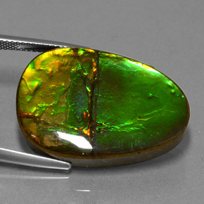 24.70캐럿 천연 멀티컬러 암몰라이트, 멋진 모양, 26.9×20 mm, 불투명체