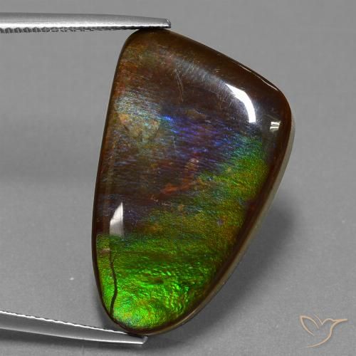 22.78ct 자연스러운 다색 암몰라이트, 팬시한, 불투명체
