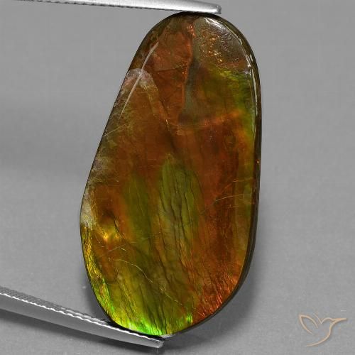 18.71ct 자연스러운 다색 암몰라이트, 팬시한, 불투명체