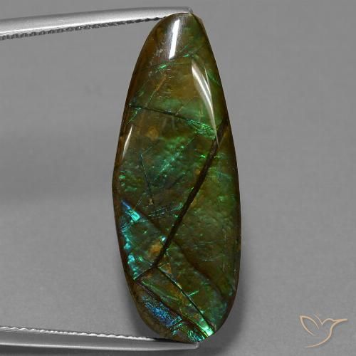 14.36ct 자연스러운 다색 암몰라이트, 팬시한, 불투명체