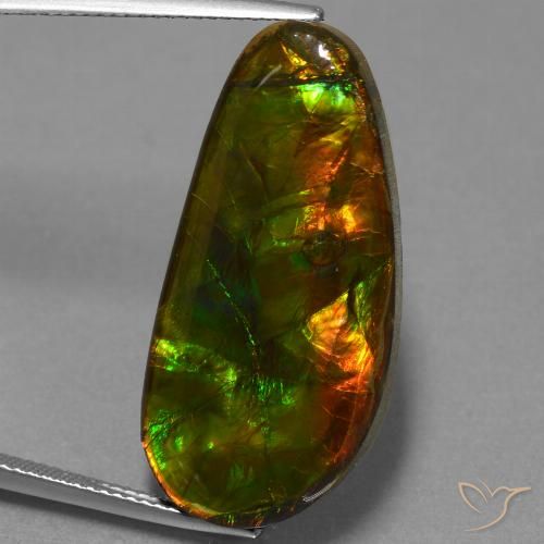 21.09ct 자연스러운 다색 암몰라이트, 팬시한, 불투명체