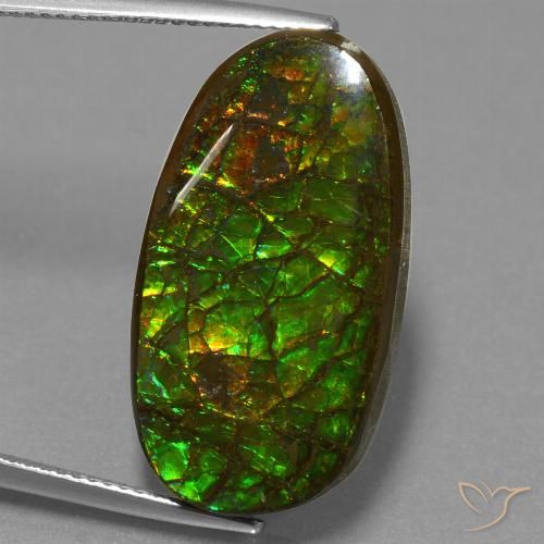 21.50ct 자연스러운 다색 암몰라이트, 팬시한, 불투명체