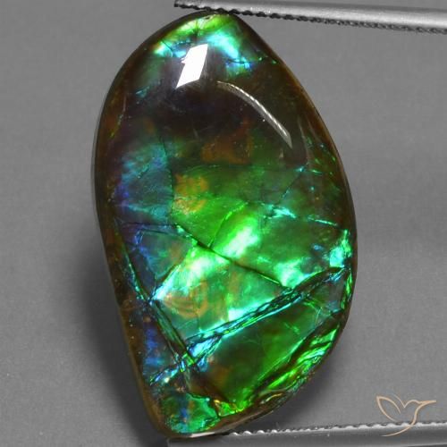17.95ct 자연스러운 다색 암몰라이트, 팬시한, 불투명체