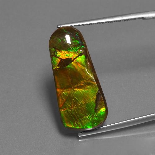 11.73캐럿 천연 멀티컬러 암몰라이트, 멋진 모양, 23×10.4 mm, 불투명체