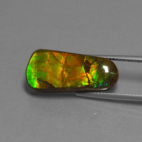 11.73캐럿 천연 멀티컬러 암몰라이트, 멋진 모양, 23×10.4 mm, 불투명체