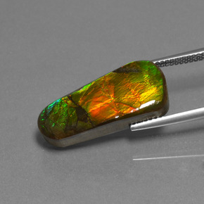 11.73캐럿 천연 멀티컬러 암몰라이트, 멋진 모양, 23×10.4 mm, 불투명체