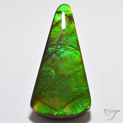 15.83ct 자연스러운 다색 암몰라이트, 일조, 불투명체