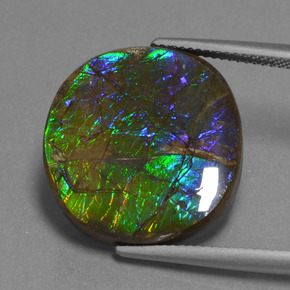 16.73캐럿 천연 멀티컬러 암몰라이트, 타원형 컷, 20.2×18.9 mm, 불투명체