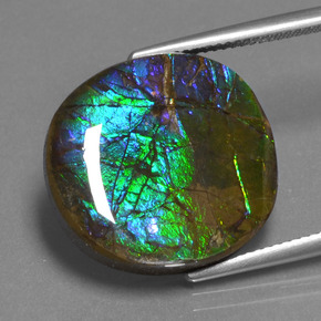 16.73캐럿 천연 멀티컬러 암몰라이트, 타원형 컷, 20.2×18.9 mm, 불투명체