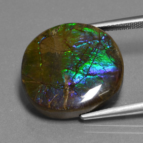 16.73캐럿 천연 멀티컬러 암몰라이트, 타원형 컷, 20.2×18.9 mm, 불투명체