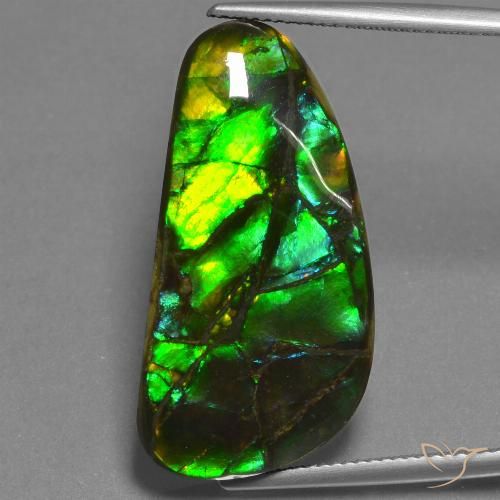 23.45ct 자연스러운 다색 암몰라이트, 팬시한, 불투명체