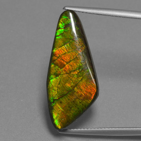 15.14캐럿 천연 멀티컬러 암몰라이트, 멋진 모양, 28×12.4 mm, 불투명체