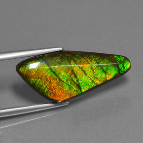 15.14캐럿 천연 멀티컬러 암몰라이트, 멋진 모양, 28×12.4 mm, 불투명체