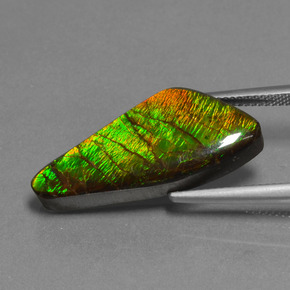 15.14캐럿 천연 멀티컬러 암몰라이트, 멋진 모양, 28×12.4 mm, 불투명체