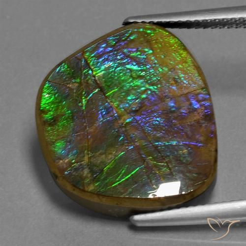 14.96ct 자연스러운 다색 암몰라이트, 팬시한, 불투명체