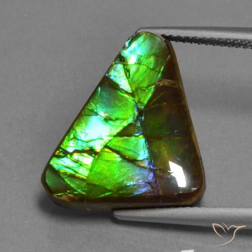 11.30ct 자연스러운 다색 암몰라이트, 일조, 불투명체