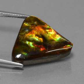 11.38캐럿 천연 멀티컬러 암몰라이트, 트릴리언, 18.1×18.2 mm, 불투명체