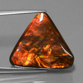 14.28캐럿 천연 멀티컬러 암몰라이트, 트릴리언, 19.4×20.6 mm, 불투명체