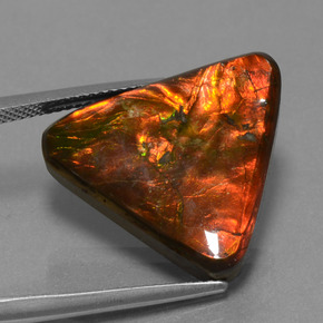 14.28캐럿 천연 멀티컬러 암몰라이트, 트릴리언, 19.4×20.6 mm, 불투명체