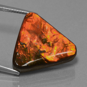 14.28캐럿 천연 멀티컬러 암몰라이트, 트릴리언, 19.4×20.6 mm, 불투명체