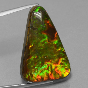 20.75캐럿 천연 멀티컬러 암몰라이트, 트릴리언, 27.6×18.7 mm, 불투명체