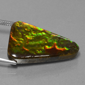 20.75캐럿 천연 멀티컬러 암몰라이트, 트릴리언, 27.6×18.7 mm, 불투명체