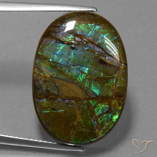 18.60ct 자연스러운 다색 암몰라이트, 타원형, 불투명체