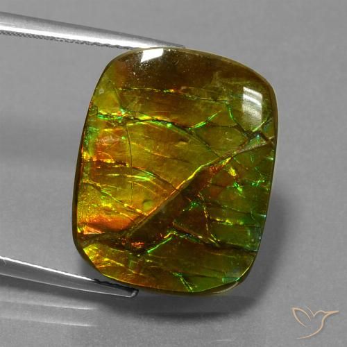 14.83ct 자연스러운 다색 암몰라이트, 방석, 불투명체