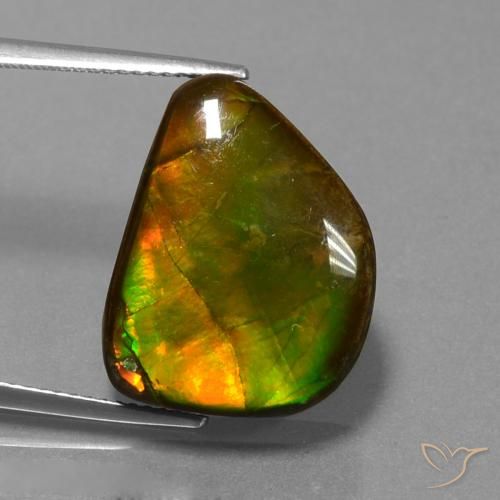 13.25ct 자연스러운 다색 암몰라이트, 팬시한, 불투명체
