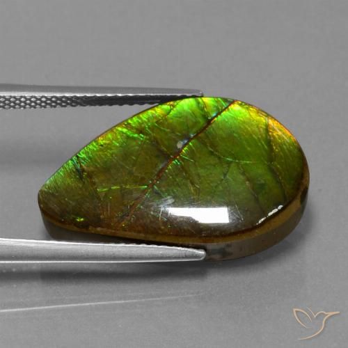 13.12ct 자연스러운 다색 암몰라이트, 팬시한, 불투명체