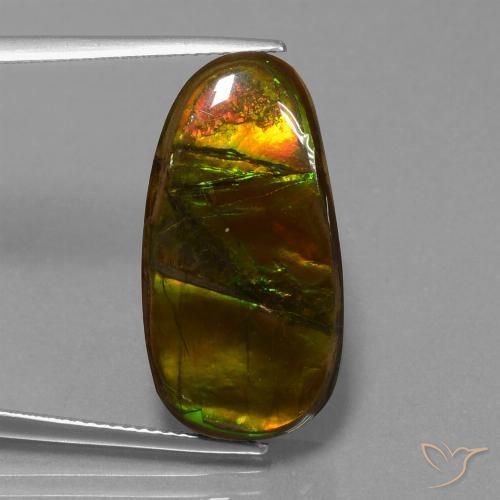 15.26ct 자연스러운 다색 암몰라이트, 팬시한, 불투명체