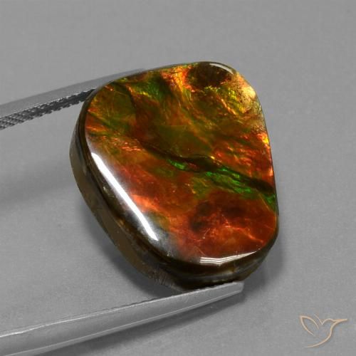14.52ct 자연스러운 다색 암몰라이트, 팬시한, 불투명체