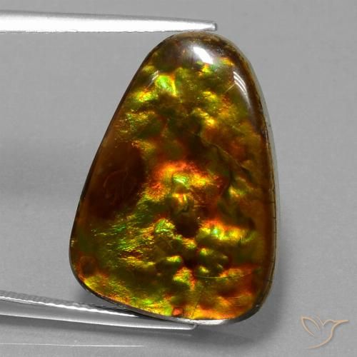 15.67ct 자연스러운 다색 암몰라이트, 일조, 불투명체