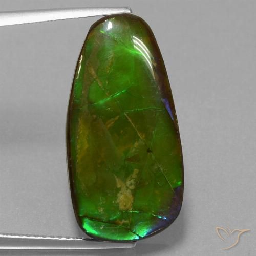 13.82ct 자연스러운 다색 암몰라이트, 팬시한, 불투명체