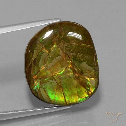 13.05ct 자연스러운 다색 암몰라이트, 팬시한, 불투명체