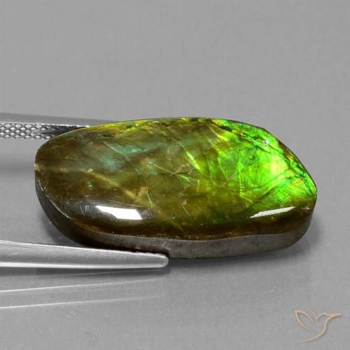 11.74ct 자연스러운 다색 암몰라이트, 팬시한, 불투명체