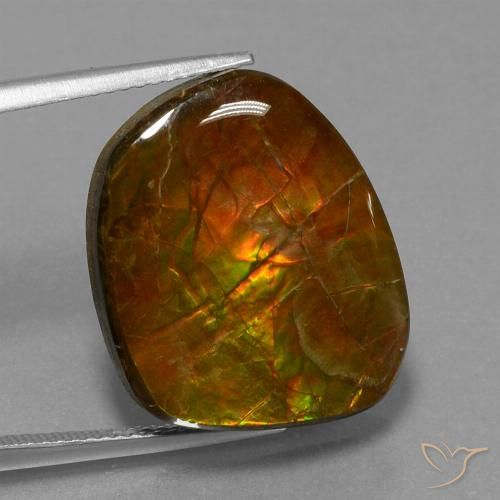 16.13ct 자연스러운 다색 암몰라이트, 팬시한, 불투명체