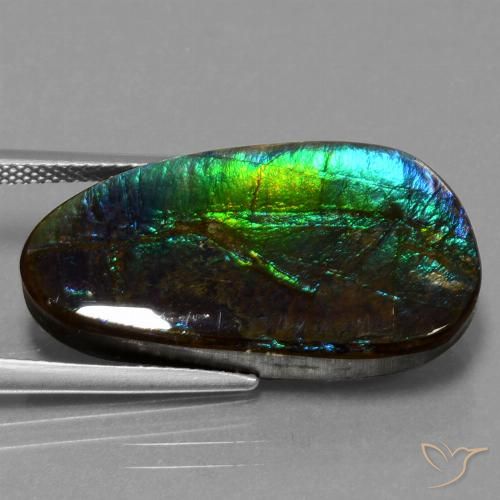 16.95ct 자연스러운 다색 암몰라이트, 팬시한, 불투명체
