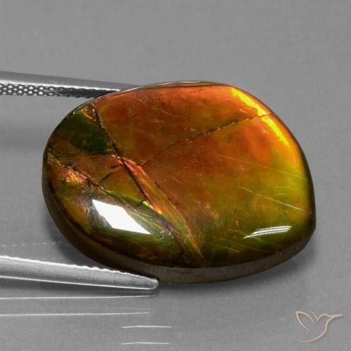 15.55ct 자연스러운 다색 암몰라이트, 팬시한, 불투명체