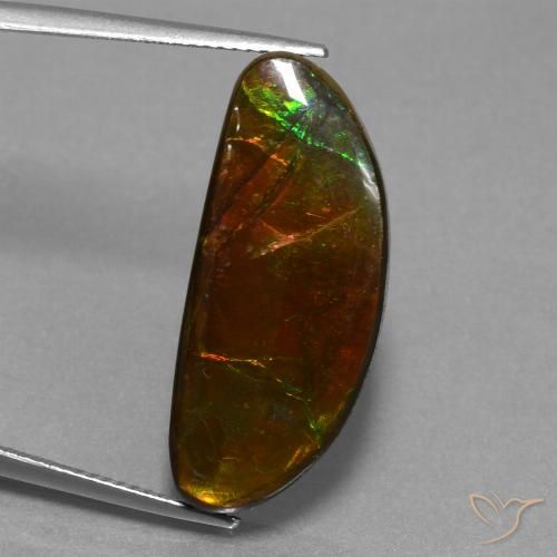 14.62ct 자연스러운 다색 암몰라이트, 팬시한, 불투명체