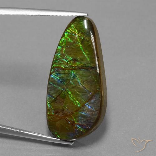 16.23ct 자연스러운 다색 암몰라이트, 팬시한, 불투명체