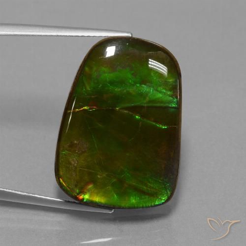 23.19ct 자연스러운 다색 암몰라이트, 팬시한, 불투명체