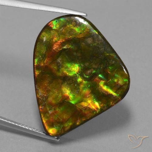 25.17ct 자연스러운 다색 암몰라이트, 팬시한, 불투명체