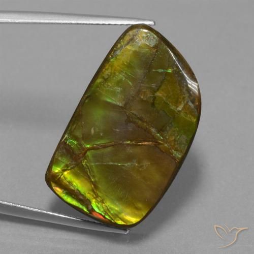 21.06ct 자연스러운 다색 암몰라이트, 팬시한, 불투명체