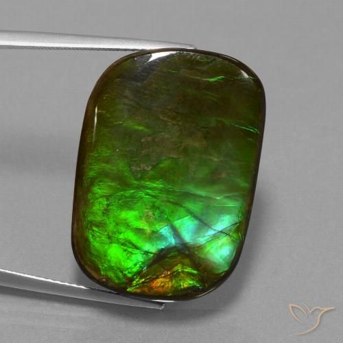 21.97ct 자연스러운 다색 암몰라이트, 방석, 불투명체