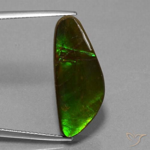 10.78ct 자연스러운 다색 암몰라이트, 팬시한, 불투명체